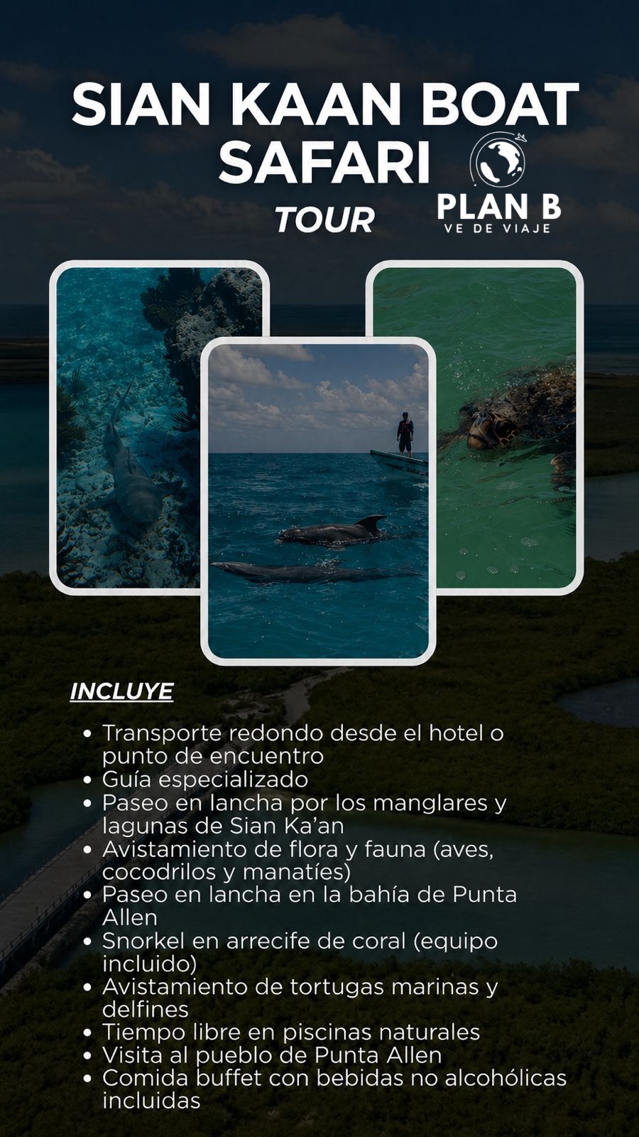 Paquete 5